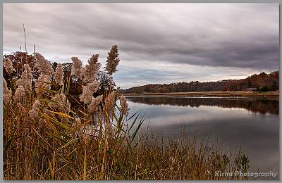 image by Kirms Photography Shark River Hills Foliage-03